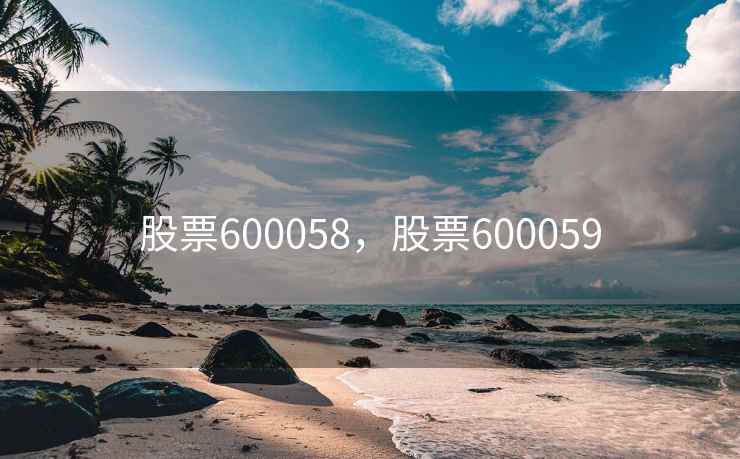 股票600058，股票600059