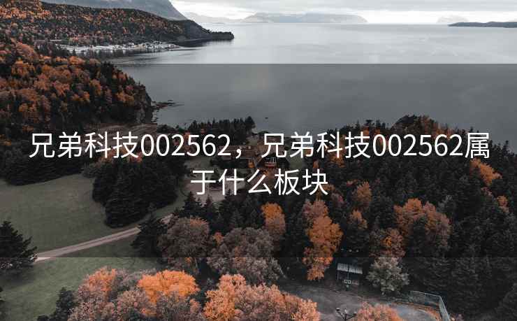 兄弟科技002562，兄弟科技002562属于什么板块