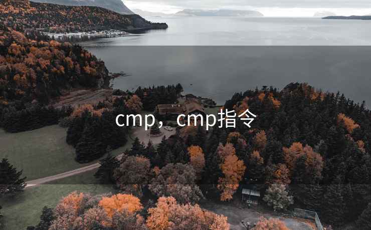 cmp，cmp指令
