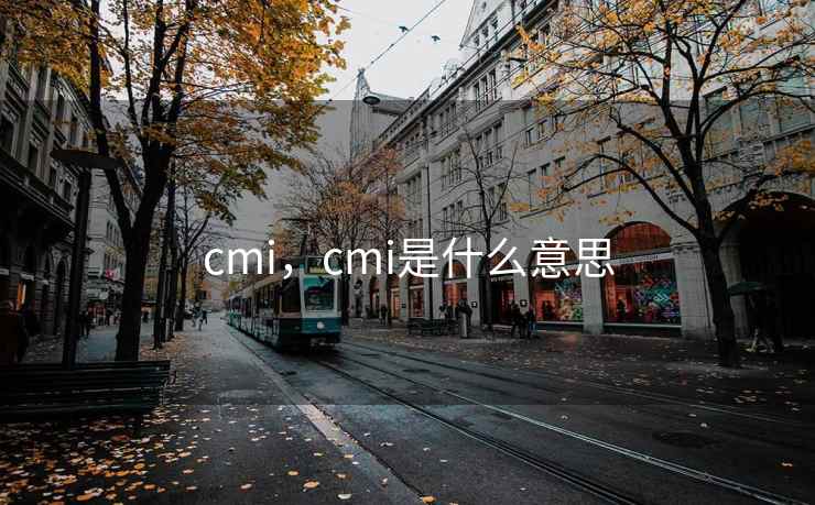 cmi,cmi是什么意思 cmi,cmi是什么意思