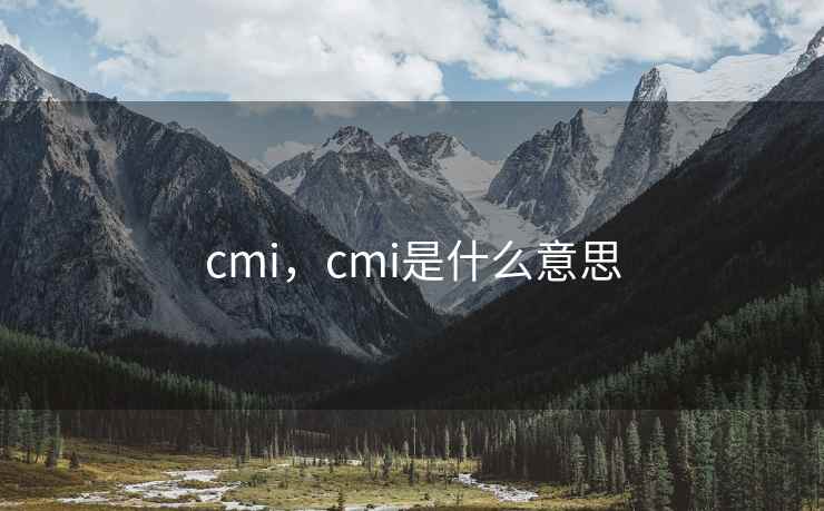 cmi,cmi是什么意思 cmi,cmi是什么意思