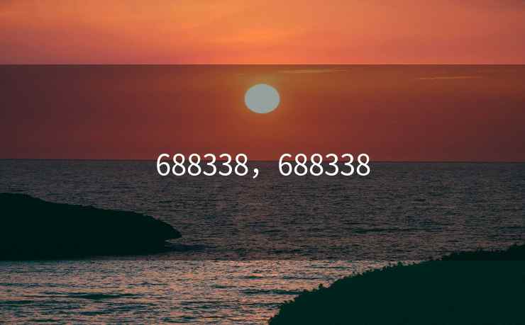 688338，688338