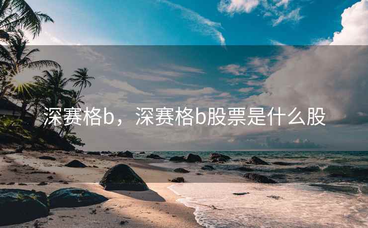 深赛格b，深赛格b股票是什么股