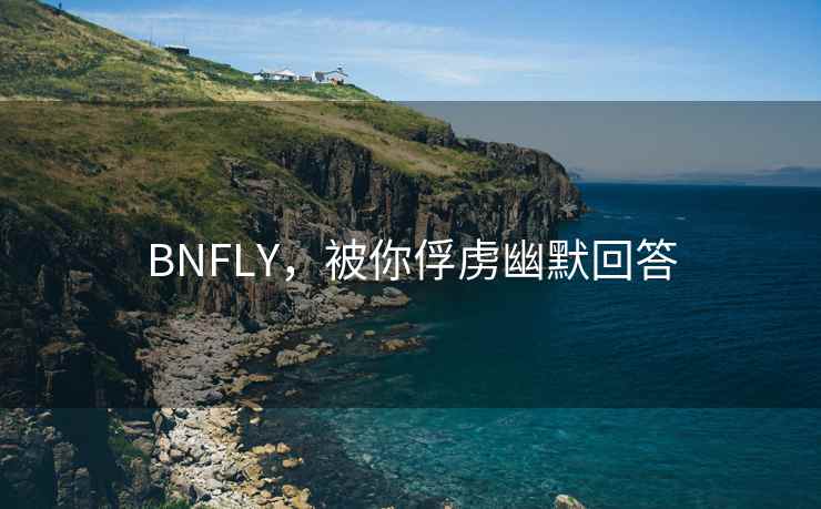 BNFLY，被你俘虏幽默回答