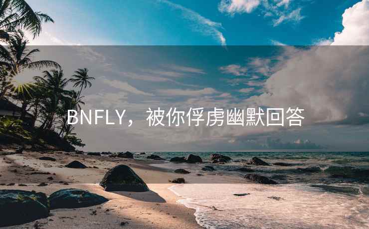 BNFLY，被你俘虏幽默回答