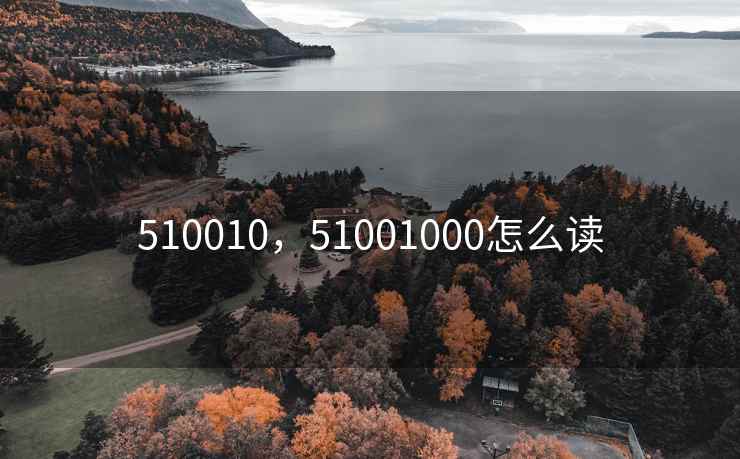 510010，51001000怎么读