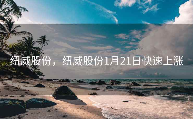 纽威股份，纽威股份1月21日快速上涨