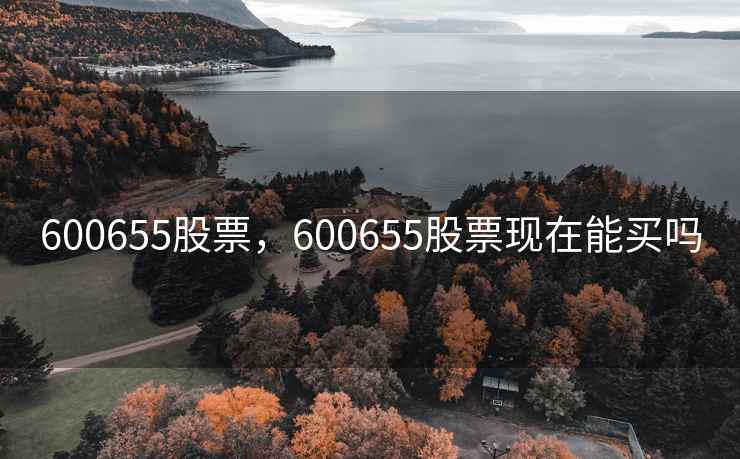600655股票，600655股票现在能买吗