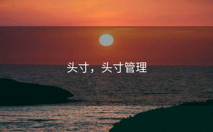 头寸，头寸管理