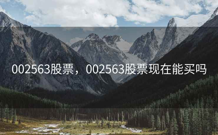 002563股票,002563股票现在能买吗 002563股票,002563股票现在能买吗