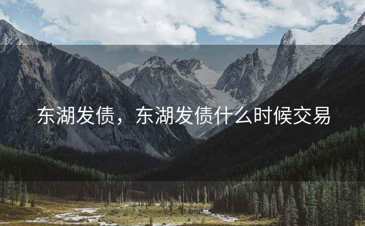 东湖发债,东湖发债什么时候交易 东湖发债,东湖发债什么时候交易
