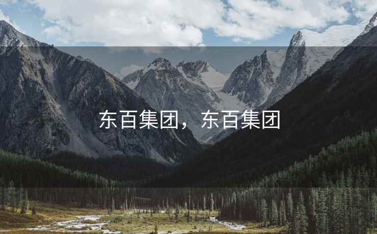 东百集团，东百集团
