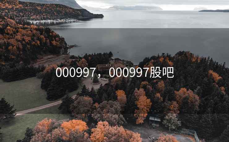 000997，000997股吧