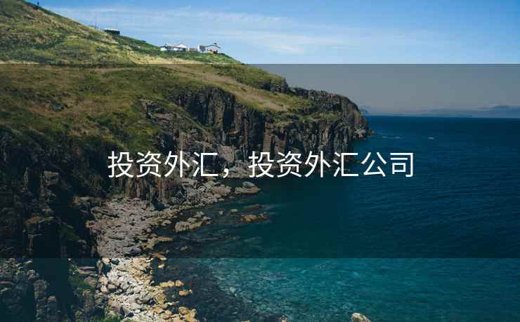 投资外汇，投资外汇公司