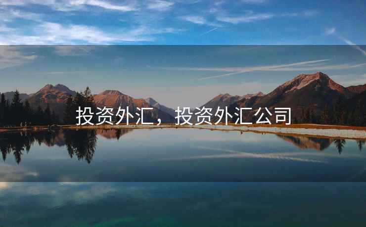 投资外汇，投资外汇公司