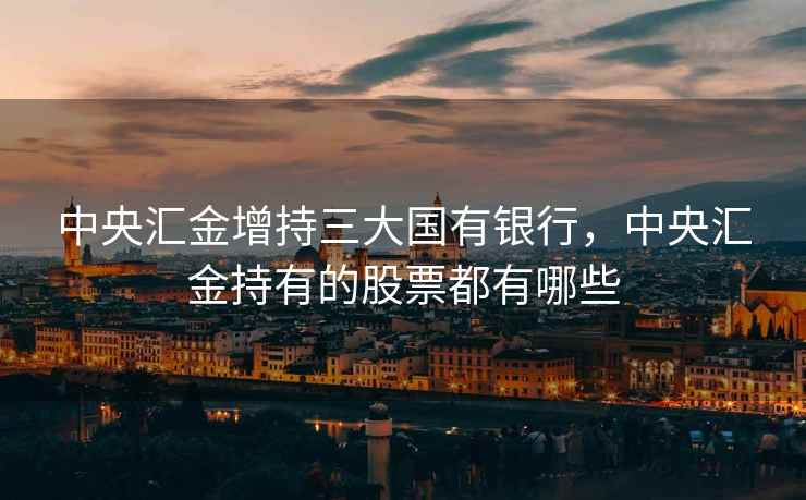 中央汇金增持三大国有银行，中央汇金持有的股票都有哪些